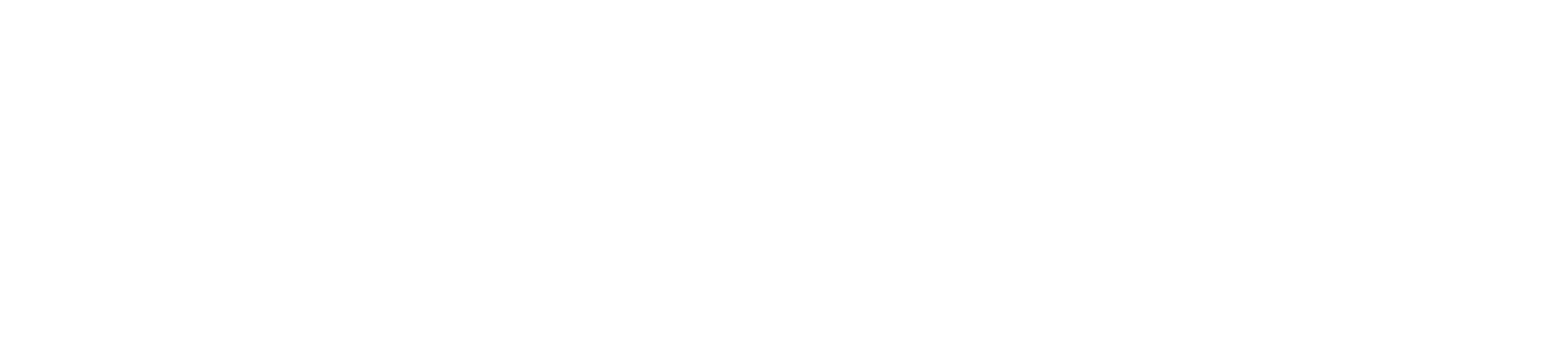 logo de website